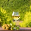 Geführte Weinwanderung Freyburg