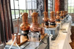Gin Brennkurs Düsseldorf