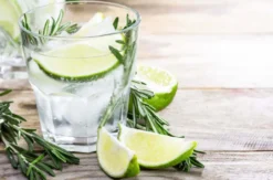 Gin Brennkurs Düsseldorf