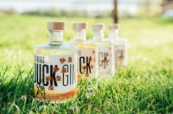 Gin Brennkurs mit 5-Gänge-Menü Bad Kreuznach