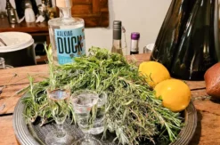 Gin Brennkurs mit 5-Gänge-Menü Guldental