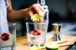 Gin Degustation Zürich