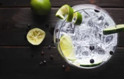 Gin Degustation Zürich