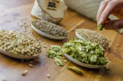 Gin selber machen Aschheim