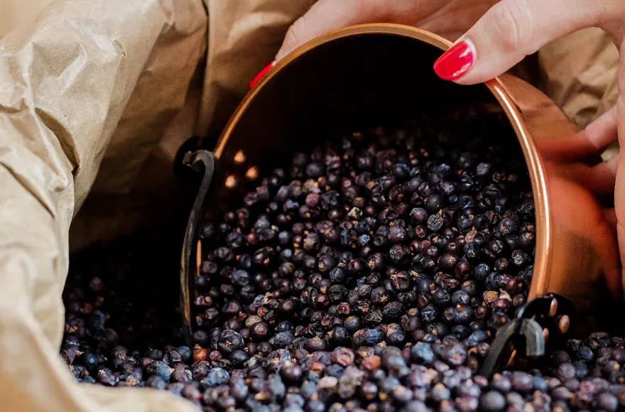 Gin selber machen Aschheim