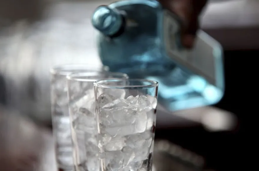 Gin selber machen in Schlüchtern-Elm