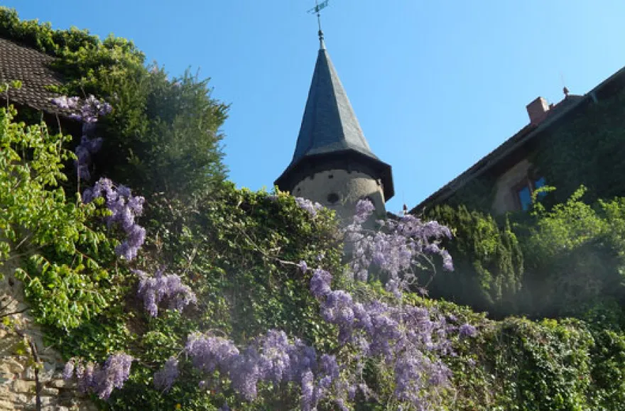 Gin selber machen in Schlüchtern-Elm
