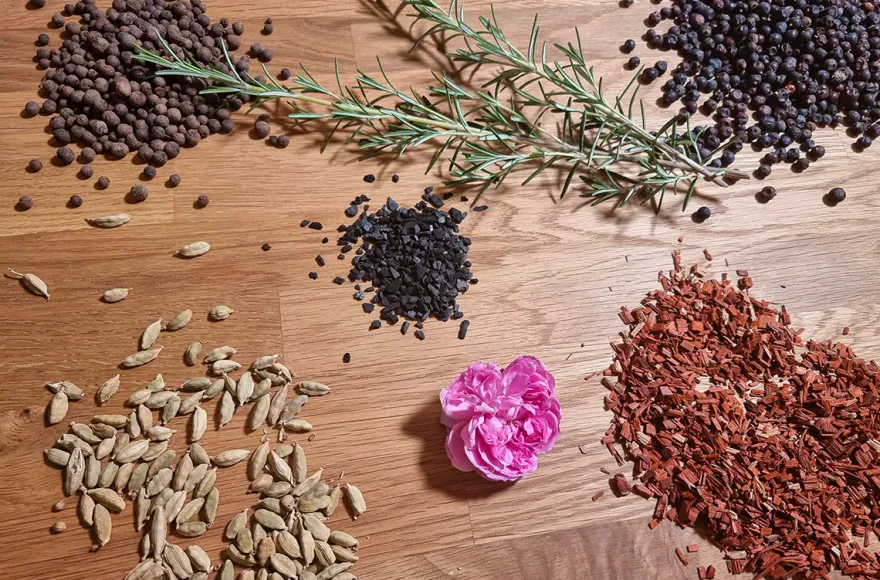 Gin selber machen Neunkirchen
