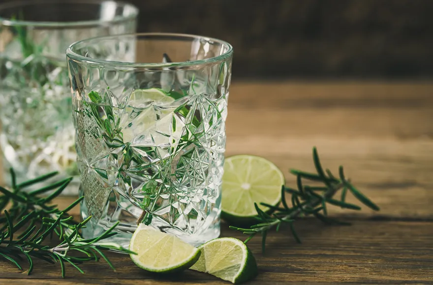 Gin Seminar Düsseldorf (für Einsteiger)