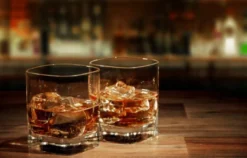 Gin Seminar Hamburg