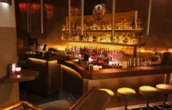 Gin Seminar Hamburg