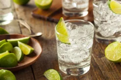 Gin Seminar Hamburg (für Einsteiger)
