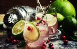 Gin Seminar Osthofen