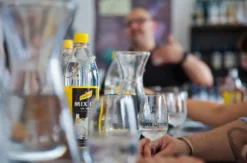 Gin Seminar Stuttgart (für Einsteiger)