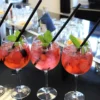 Gin Seminar Trier