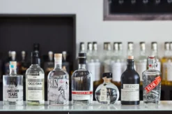 Gin Tasting