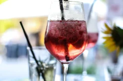 Gin Tasting Bad Berneck