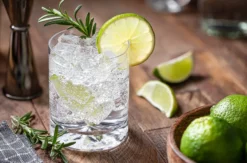 Gin Tasting Berlin für 2