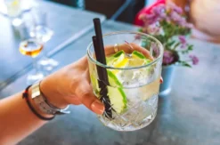 Gin Tasting Berlin (7 Premium Gins)