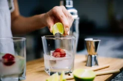 Gin Tasting Berlin (8 Premium Gins)