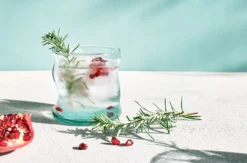 Gin Tasting Berlin (8 Premium Gins)