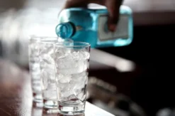 Gin Tasting Düsseldorf