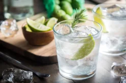 Gin Tasting Düsseldorf
