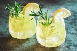 Gin Tasting Düsseldorf
