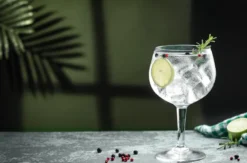Gin Tasting Düsseldorf (8 Premium Gins)