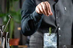 Gin Tasting Frankfurt