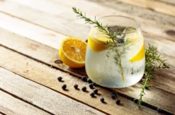 Gin Tasting Frankfurt am Main für 2