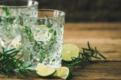 Gin Tasting Frankfurt am Main für 2