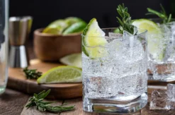 Gin Tasting Frankfurt am Main (8 Premium Gins)