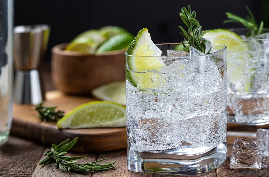 Gin Tasting Frankfurt am Main (8 Premium Gins)