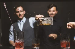 Gin Tasting Freiburg im Breisgau