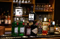 Gin Tasting Freiburg im Breisgau