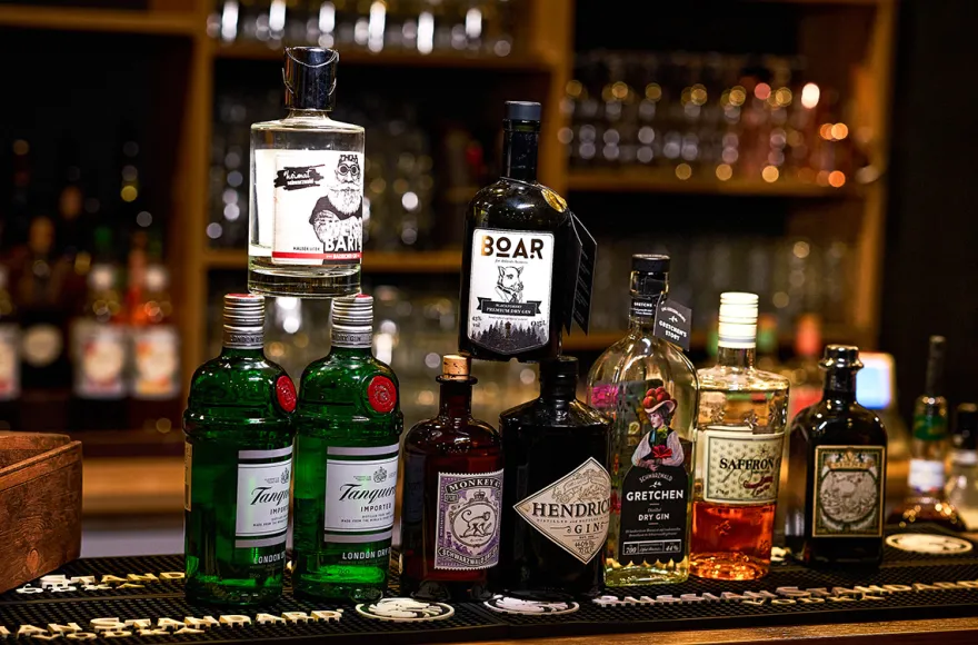 Gin Tasting Freiburg im Breisgau