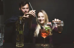 Gin Tasting Freiburg im Breisgau