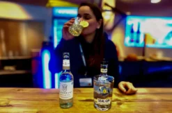 Gin Tasting Hamburg