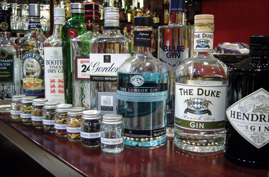 Gin Tasting Hattersheim am Main