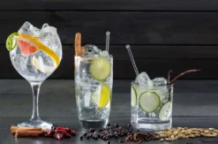 Gin Tasting in der Villa Mumm Eltville