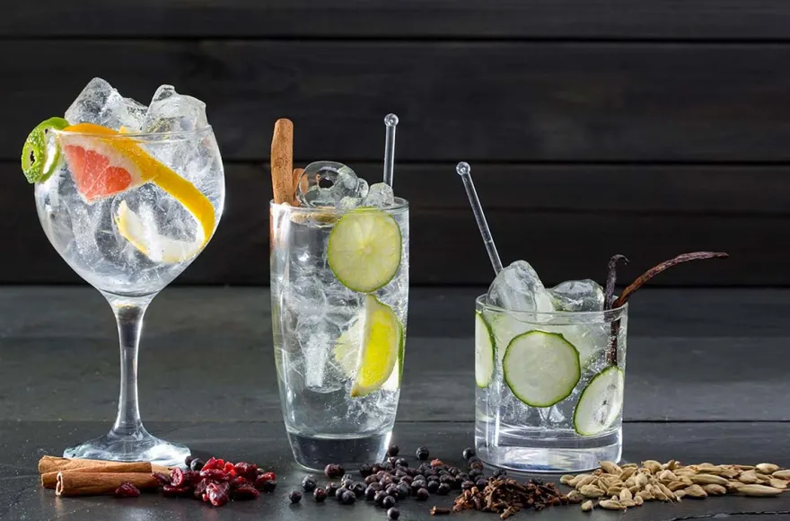 Gin Tasting in der Villa Mumm Eltville