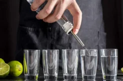Gin Tasting in der Villa Mumm Eltville