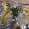 Gin-Tasting in Wien