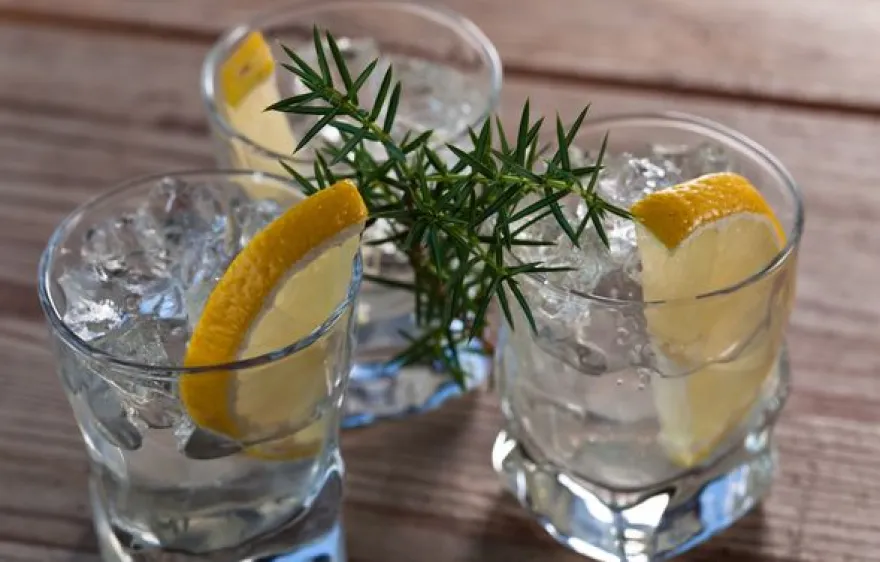 Gin-Tasting in Wien