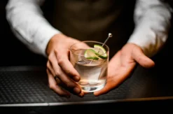 Gin Tasting Köln (7 Premium Gins)