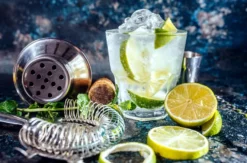 Gin Tasting München für 2