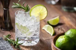 Gin Tasting München (7 Premium Gins)