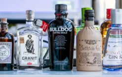 Gin Tasting Passau
