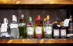 Gin Tasting Passau